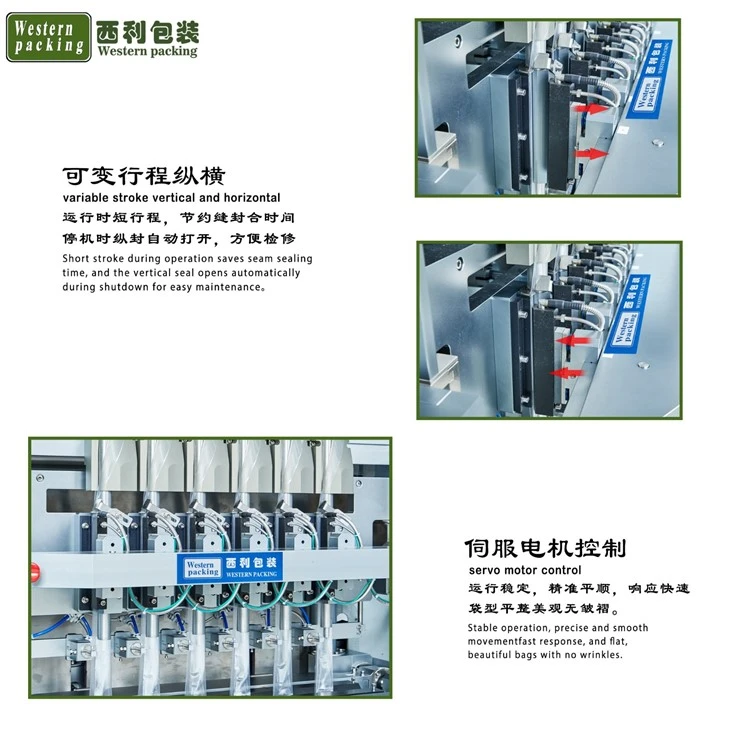 sachet packaging machine