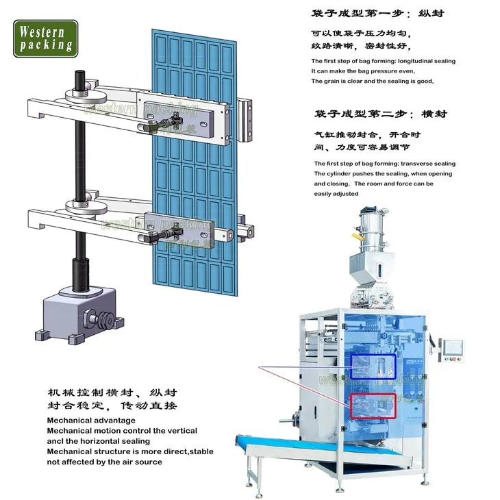 salt packing machine